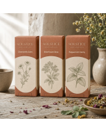 Custom Reverse Tuck End Boxes for Branded Retail Packaging