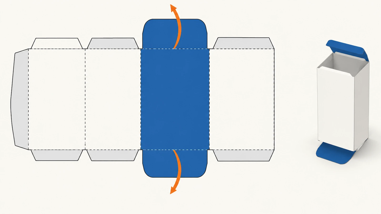 Flat straight tuck end box layout with color-coded panels and arrows showing both closure flaps folding from the back panel